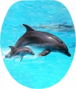 WC ülőke MDF fémzsanéros. FLIPPER